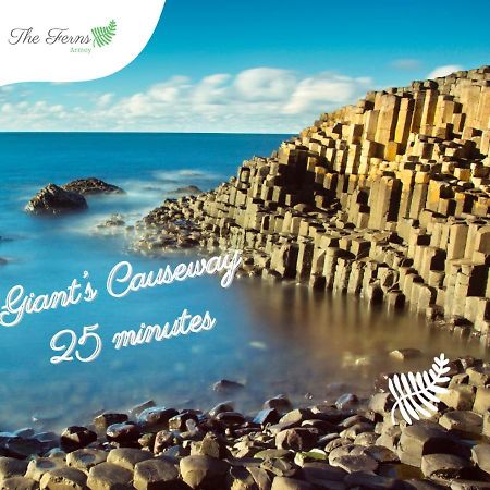 The Ferns-Ideal Base For Exploring The Causeway Coast Armoy Buitenkant foto