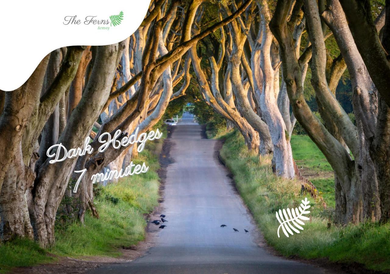 The Ferns-Ideal Base For Exploring The Causeway Coast Armoy Buitenkant foto