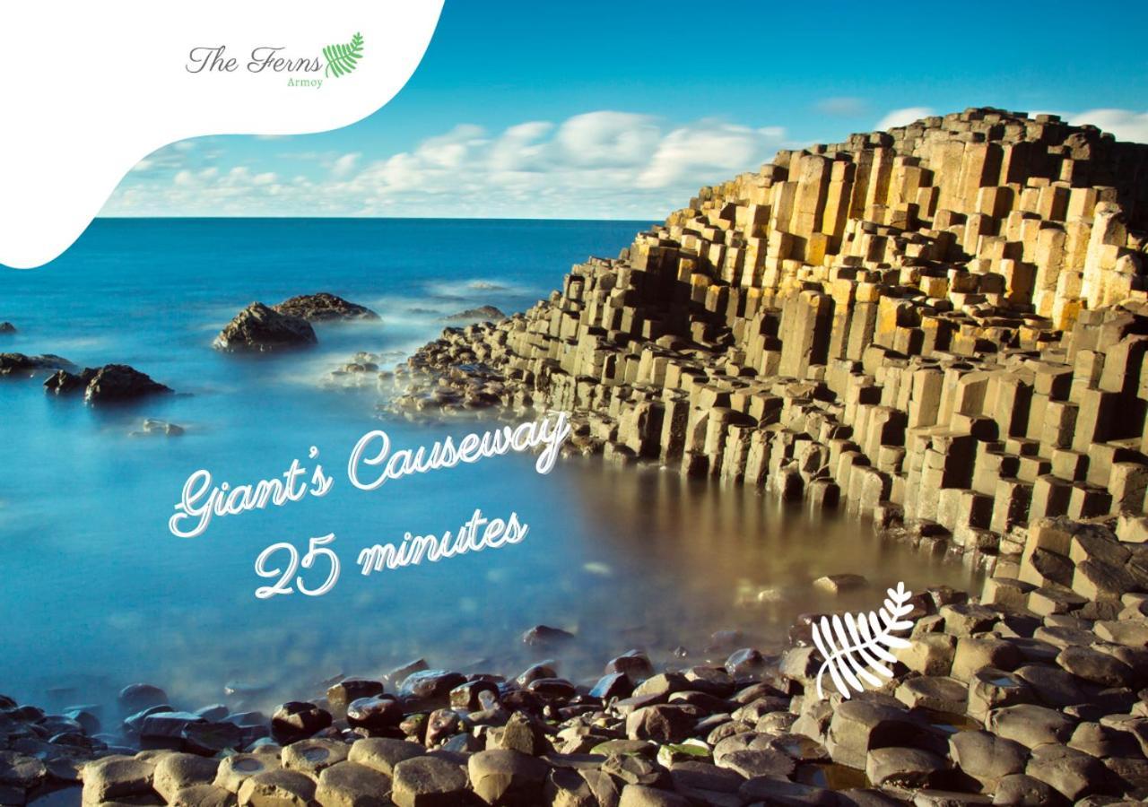 The Ferns-Ideal Base For Exploring The Causeway Coast Armoy Buitenkant foto